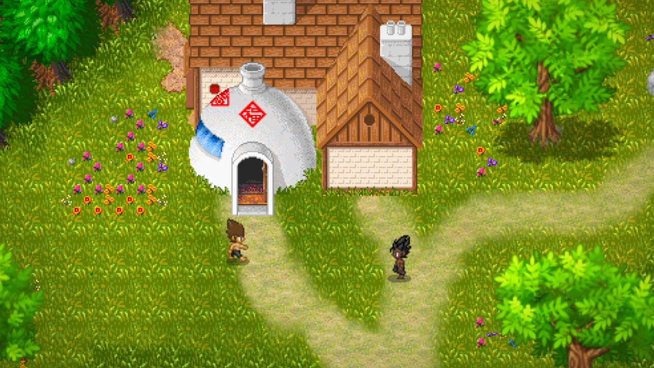 Maison de Goku dans Saiyan Online